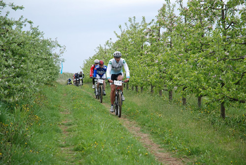 Świętokrzyska Liga Rowerowa